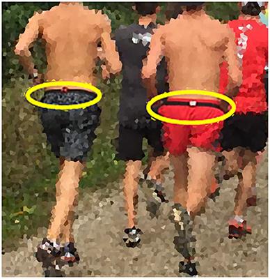 Monitoring Gait Complexity as an Indicator for Running-Related Injury Risk in Collegiate Cross-Country Runners: A Proof-of-Concept Study